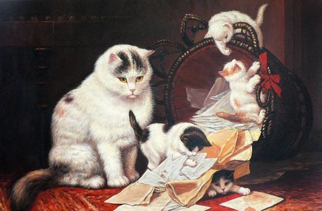 Kittens playing